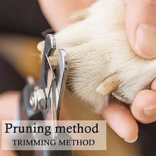 Professional Pet Nail Clipper and File (2 Pc Set)