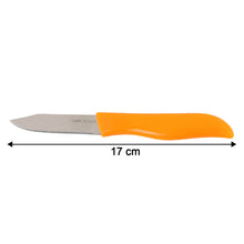 Professional Paring & Utility Kitchen Knife (1 Pc)